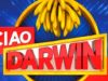 darwin